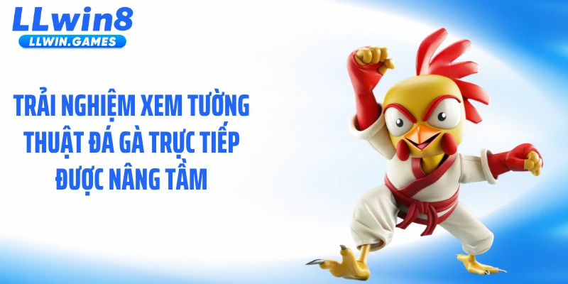 Tường Thuật Đá Gà Trực Tiếp: Diễn Biến Nghẹt Thở Từng Giây Trải nghiệm xem tường thuật đá gà trực tiếp được nâng tầm